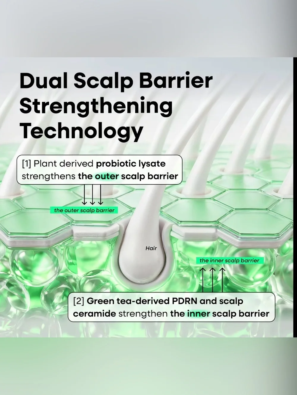 LABO-H DUO Scalp strengthening shampoo/ strengthening roll on serum KoreanHair
